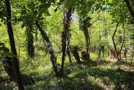 Zemljište respektabilne površine, Vinica, Land