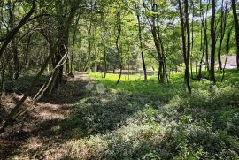 Zemljište respektabilne površine, Vinica, Tierra