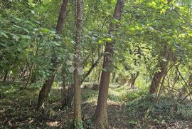 Zemljište respektabilne površine, Vinica, Terrain