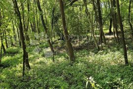 Zemljište respektabilne površine, Vinica, Land