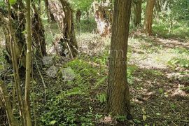 Zemljište respektabilne površine, Vinica, Land