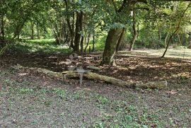 Zemljište respektabilne površine, Vinica, Land