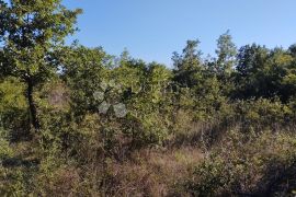 Prostrano zemljište blizu naselja, Svetvinčenat, Terrain