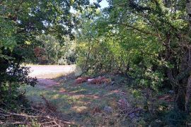 Prostrano poljoprivredno zemljište u okolici Barbana, Barban, Terreno