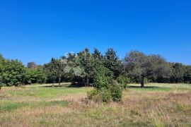 Prostrano poljoprivredno zemljište u okolici Barbana, Barban, أرض