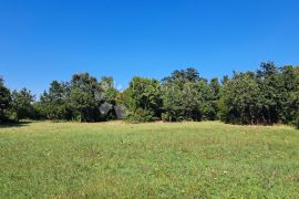 Prostrano poljoprivredno zemljište u okolici Barbana, Barban, أرض