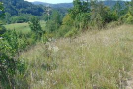 Veliko poljoprivredno zemljište u okolici Butonige, Pazin - Okolica, Land