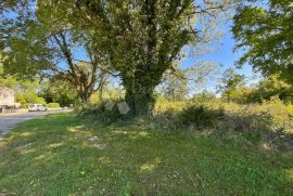 Građevinsko zemljište za kuću s pristojnom okućnicom., Barban, Land