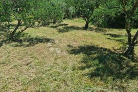 Građevinsko zemljište Posedarje, Posedarje, Land