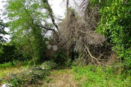 Višnjan, okolica - teren za kuću, Višnjan, Terreno