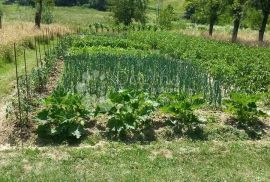 EKSKLUZIVNO, Prostrano imanje s potencijalom, Sunja, Kuća