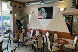 Dubrava Zagreb kuća sa caffe barom, Donja Dubrava, Ev