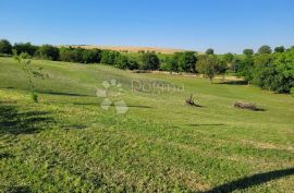 ZMAJEVAC PREKRASNO IMANJE S VINSKIM PODRUMOM, RESTORANOM, GOLF TERENOM, Kneževi Vinogradi, Ticari emlak