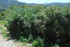 Kuća za djelomičnu renovaciju u središnjoj Istri, Pazin - Okolica, Haus