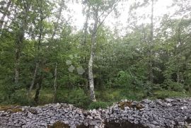 Poljoprivredno zemljište (šuma), Tinjan, Terreno
