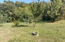 Prekrasno imanje u vinodolskom kraju, Vinodolska Općina, Kuća