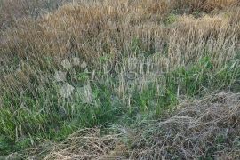 Zemljište u Beretincu, Beretinec, Land