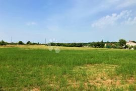 POLJOPRIVREDNA IDILA U OKOLICI BARBANA, Barban, Land