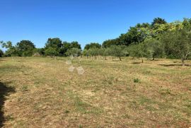 PROSTRANO GRAĐEVINSKO ZEMLJIŠTE, Marčana, Land