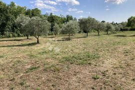 ODLIČNO GRAĐEVINSKO ZEMLJIŠTE, Marčana, Land