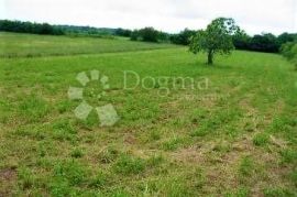 Predivno zemljište u okolici Barbana čeka na vas!, Barban, Terreno