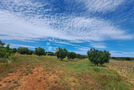 Poljoprivredno zemljište s velikim potencijalom, Medulin, Tierra
