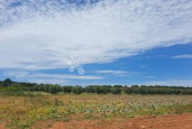 Poljoprivredno zemljište s velikim potencijalom, Medulin, Terreno