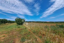 Poljoprivredno zemljište s velikim potencijalom, Medulin, Terreno