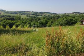 SELNICA  Atraktivno građevinsko i poljoprivredno zemljište   6652 m2, Selnica, Terrain