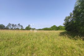 GROŽNJAN, GRAĐEVINSKO - POLJOPRIVREDNI KOMPLEKS ZEMLJIŠTA, Grožnjan, Land