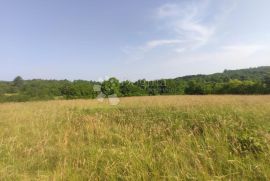 GROŽNJAN, GRAĐEVINSKO - POLJOPRIVREDNI KOMPLEKS ZEMLJIŠTA, Grožnjan, Terrain