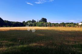 Poljoprivredno zemljište - Izvrsna investicija!, Barban, Terreno