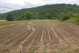 Oranica u Ogulinu, Podvrh, Ogulin, Terrain