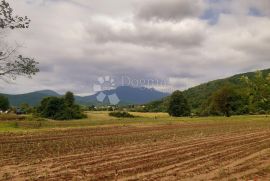 Oranica u Ogulinu, Podvrh, Ogulin, Arazi