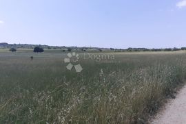 Bibinje- Poljoprivredno zemljište, Bibinje, Land