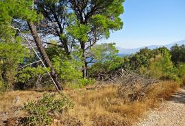 POLJOPRIVREDNO ZEMLJIŠTE KOTLINA, OTOK BRAČ, Selca, Terrain