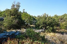 POLJOPRIVREDNO ZEMLJIŠTE KOTLINA, OTOK BRAČ, Selca, Terrain