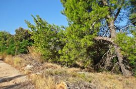 POLJOPRIVREDNO ZEMLJIŠTE KOTLINA, OTOK BRAČ, Selca, Terrain