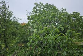 Veliko zemljište u Rogoznici sa kućom, Rogoznica, Земля