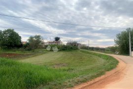 VIŽINADA – parcela na rubu sela okružena maslinicima, Vižinada, Land