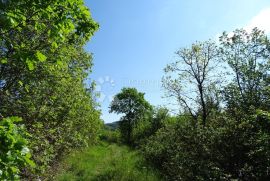 Ročko Polje - građevinska parcela sa starinom, Buzet, Tierra