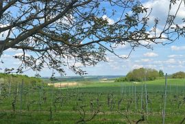 Vinograd sa vikendicom na odličnoj poziciji, Križevci, أرض