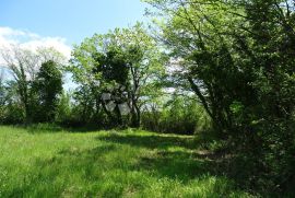 Prilika - građevinski teren u Cvitanima, Višnjan, Land