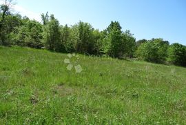 Prilika - građevinski teren u Cvitanima, Višnjan, Land