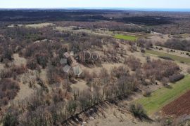 SVETVINČENAT ZEMLJIŠTE ZA GRADNJU VILA, Svetvinčenat, Land