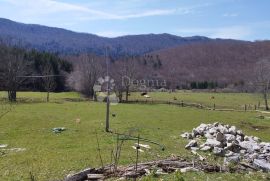 Kuća i građ.zemljište u srcu PPVelebit - Jadovno PRILIKA, Gospić - Okolica, Kuća