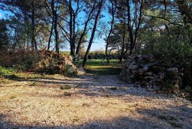 Prekrasno zemljište za uživanje u prirodi, Vodnjan, Terreno