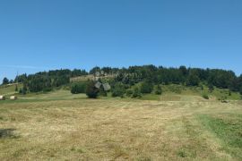 Kuća s imanjem u srcu Gorskog Kotra, Ravna Gora, Kuća