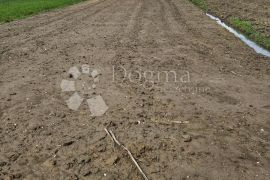 Veliko poljoprivredno zemljište, Gornji Kneginec, Land