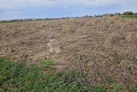 Veliko poljoprivredno zemljište, Gornji Kneginec, Terreno